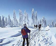 Winter Bayerischer Wald